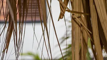 קרלנדיק Windhoek Resort Bonaire