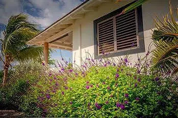 קרלנדיק Windhoek Resort Bonaire 2*,  באונאייר, סנט יוסטיישיוס ו-סאבה