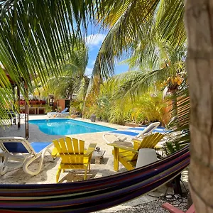 Gasthof Oasis Guesthouse, Boutique Style